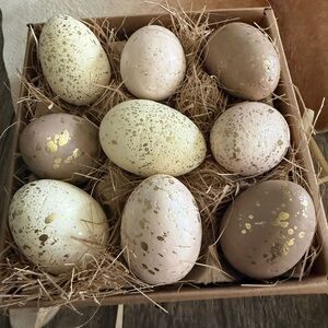 Brand NWT Well Dressed Home Decorative Egg Set - Cream Pink Brown Gold Speckled